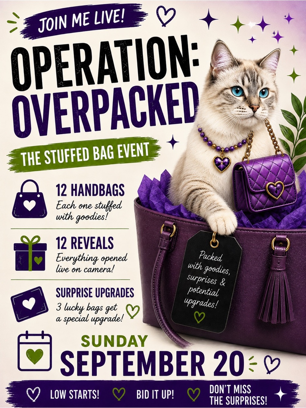 Join Operation: Overpacked the Stuffed Bag Event!